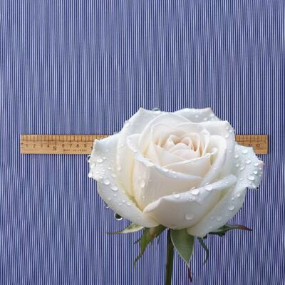 Kain Katun Garis Warna Tahan Lama untuk Kemeja Seragam Formal 110gsm